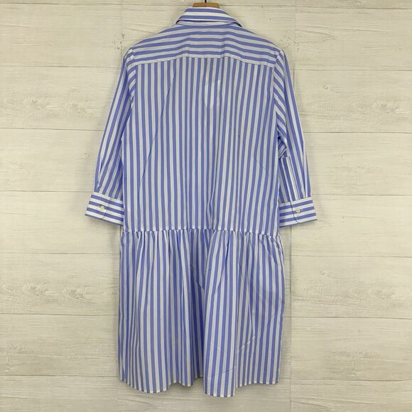 Tuckernuck The Shirt by Rochelle Behrens L Drop Waist Shirt Dress Striped Blue - Picture 9 of 16